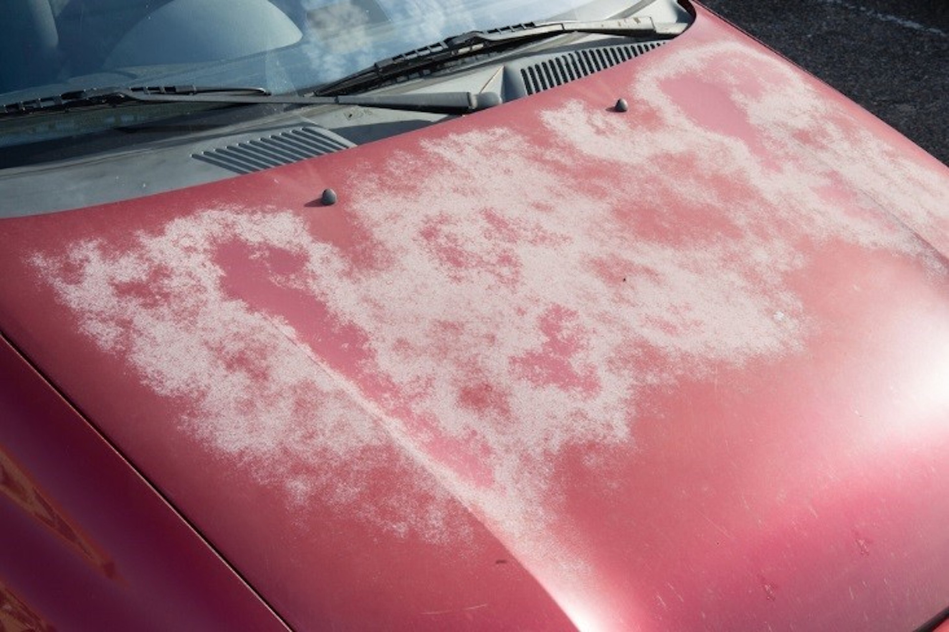 Tác hại khi thường xuyên đỗ ô tô dưới trời nắng - 1