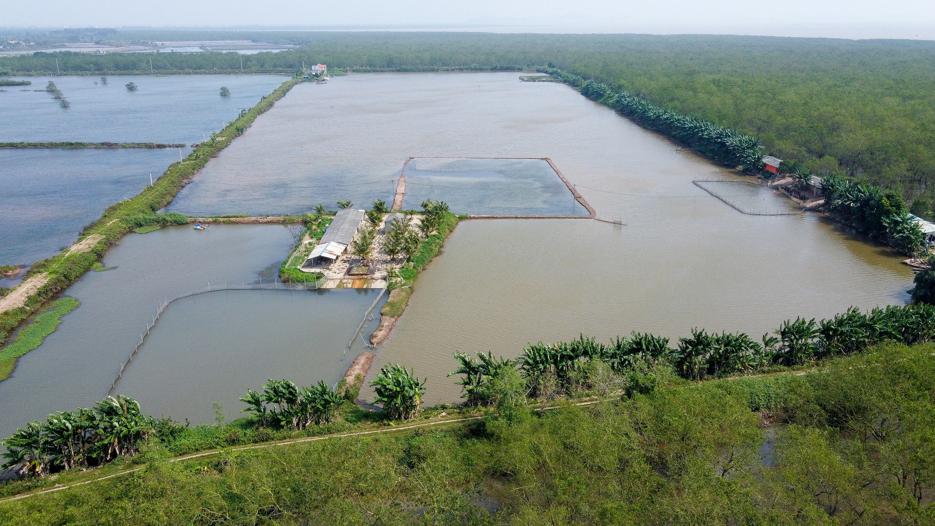 Cuộc sống hiện tại của triệu phú nông dân Đoàn Văn Vươn - 1