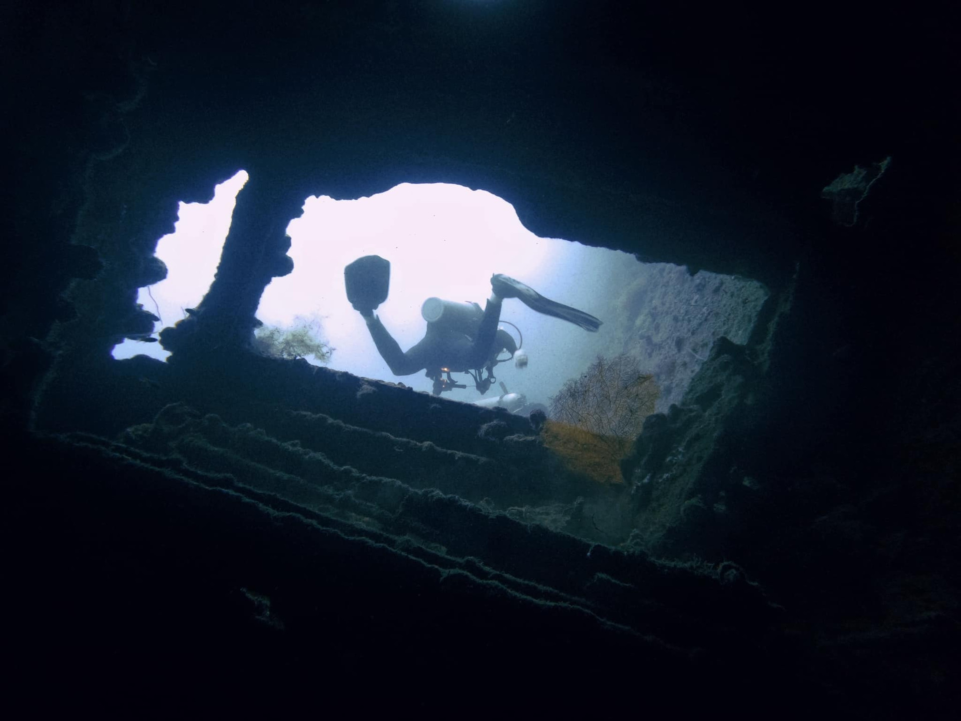 Trải nghiệm lặn biển ngắm xác tàu đắm 79 năm của chàng trai Việt - 6