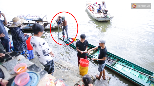 Nỗi buồn chuyện phóng sinh ngày rằm tháng 7: Những chú chim kiệt sức ngay khi được thả về trời - Ảnh 17.