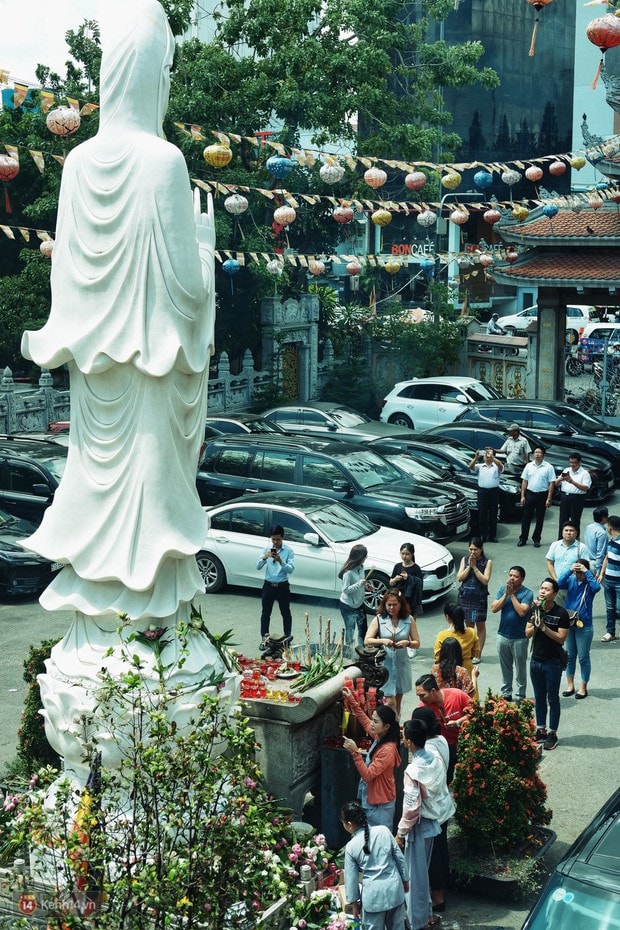 Nỗi buồn chuyện phóng sinh ngày rằm tháng 7: Những chú chim kiệt sức ngay khi được thả về trời - Ảnh 19.