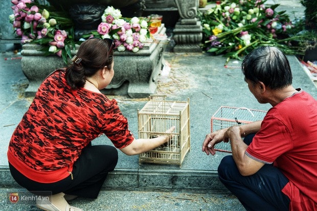 Nỗi buồn chuyện phóng sinh ngày rằm tháng 7: Những chú chim kiệt sức ngay khi được thả về trời - Ảnh 7.