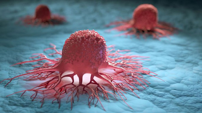 Đột phá từ Mỹ: Tìm ra cách khiến tế bào ung thư tự hủy - Ảnh 1.