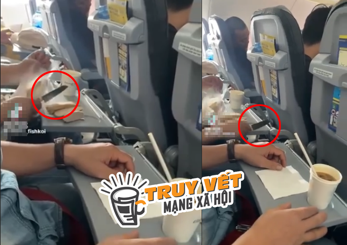 Hành khách vô tư dùng dao gọt trái cây trên máy bay - Ảnh 2.