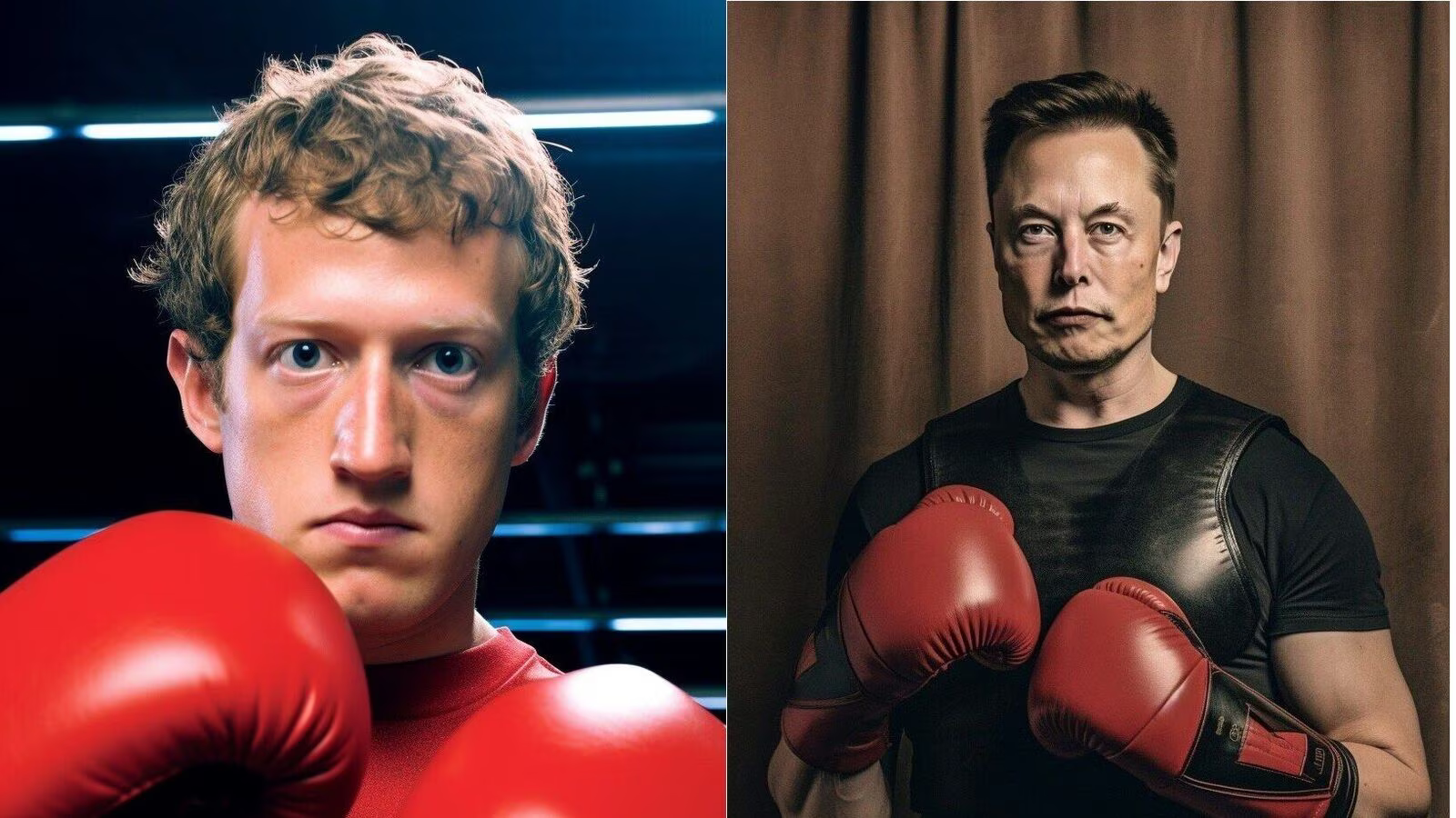 Trận đấu giữa Mark Zuckerberg và Elon Musk nhiều khả năng sẽ được diễn ra vào ngày 26/8 tới đây (Ảnh minh họa: MishaFitton).