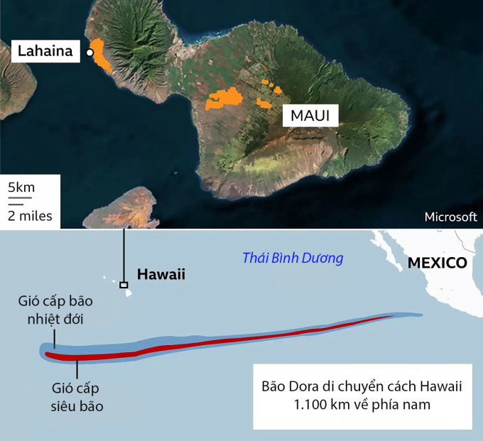 Vị trí đảo Maui và đường đi của bão Dora hôm 8/8. Đồ họa: BBC