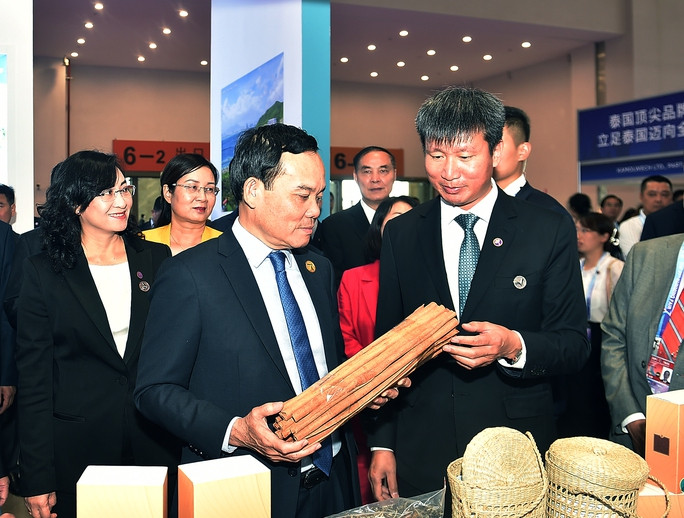 Phó Thủ tướng Trần Lưu Quang hội kiến Ngoại trưởng Vương Nghị - Ảnh 1.