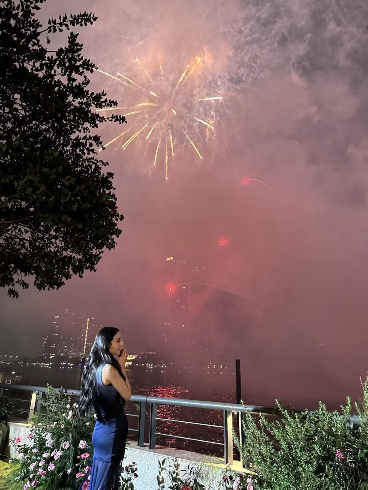 Khách Việt dự tiệc sinh nhật với pháo hoa rợp trời của con tỷ phú Singapore - 3