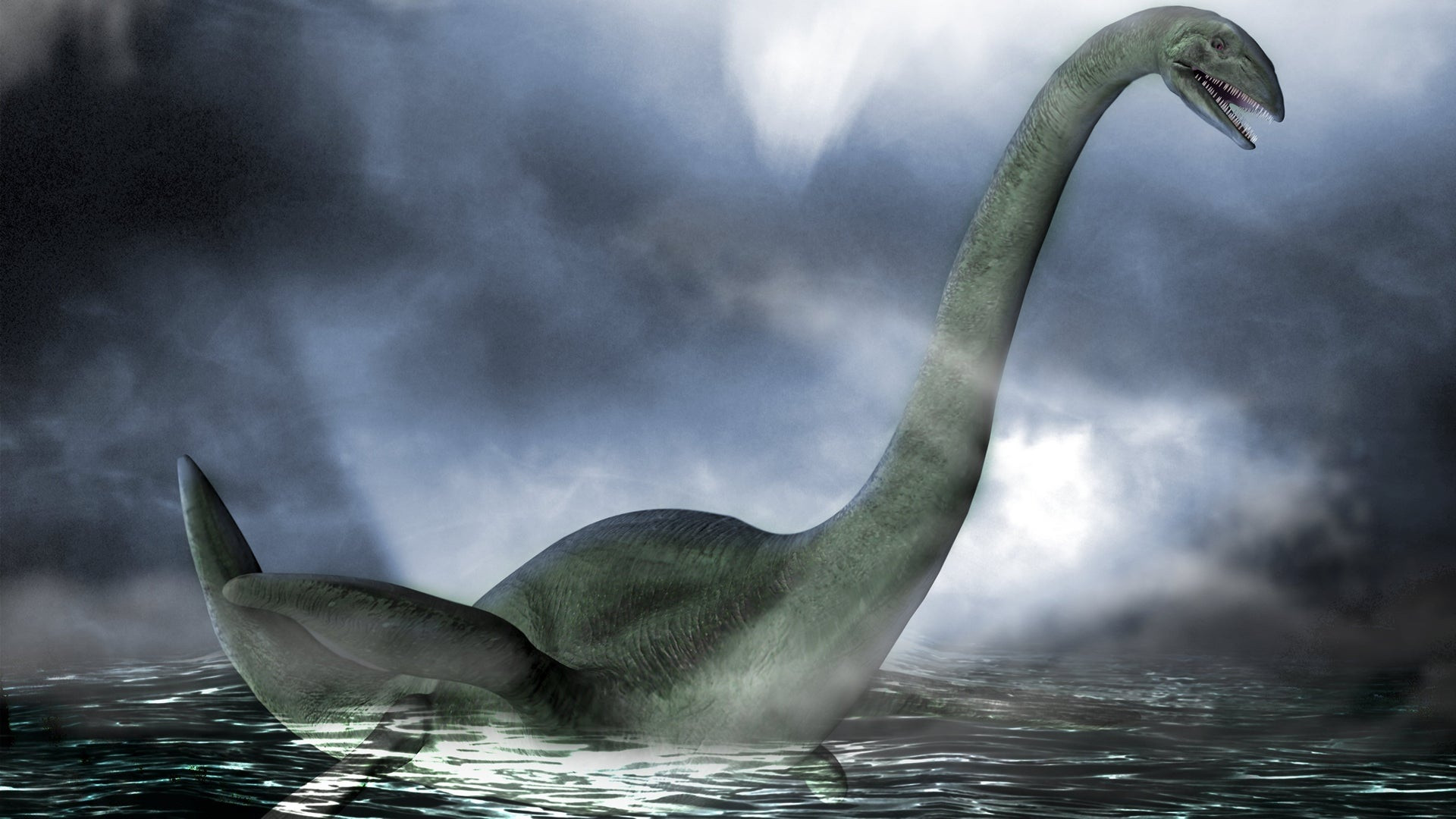 Cuộc săn lùng quái vật hồ Loch Ness lớn chưa từng thấy - 3