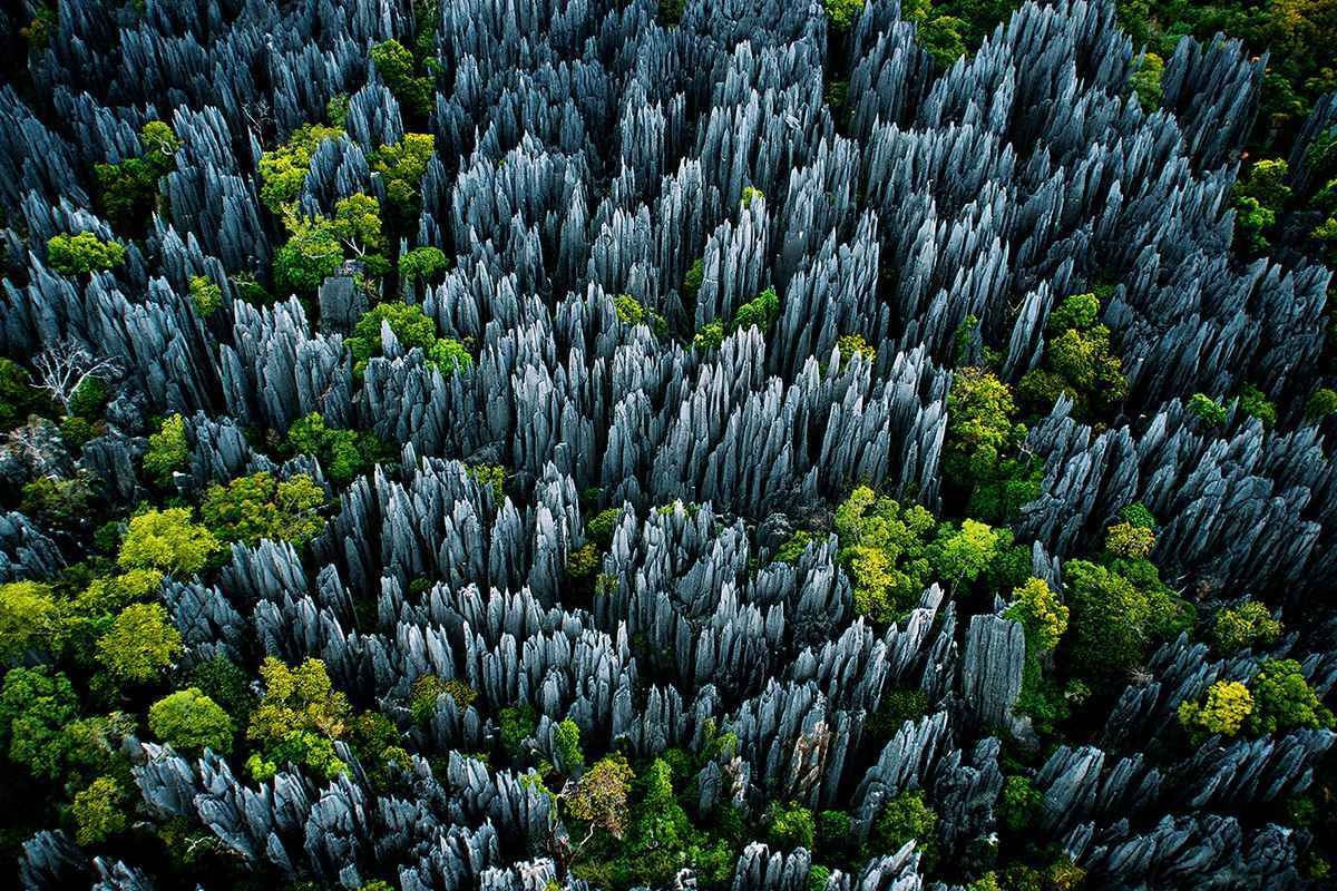 Ảnh: Yann Arthus-Bertrand