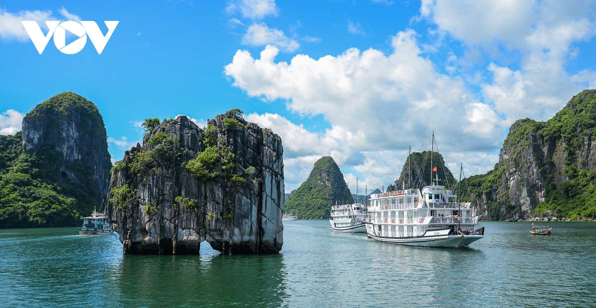 chiem nguong ve dep dieu ky cua di san the gioi vinh ha long - quan dao cat ba hinh anh 10