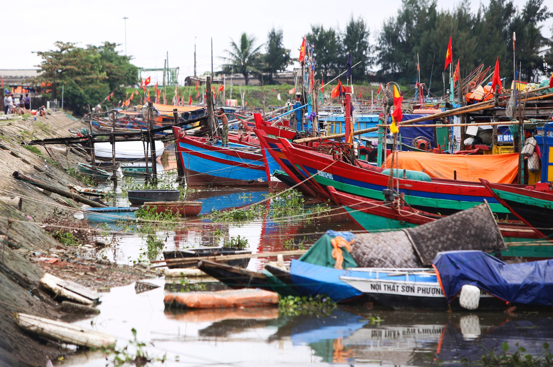Ngư dân Hà Tĩnh vươn khơi thu 'lộc biển' sau đợt mưa lớn ảnh 3