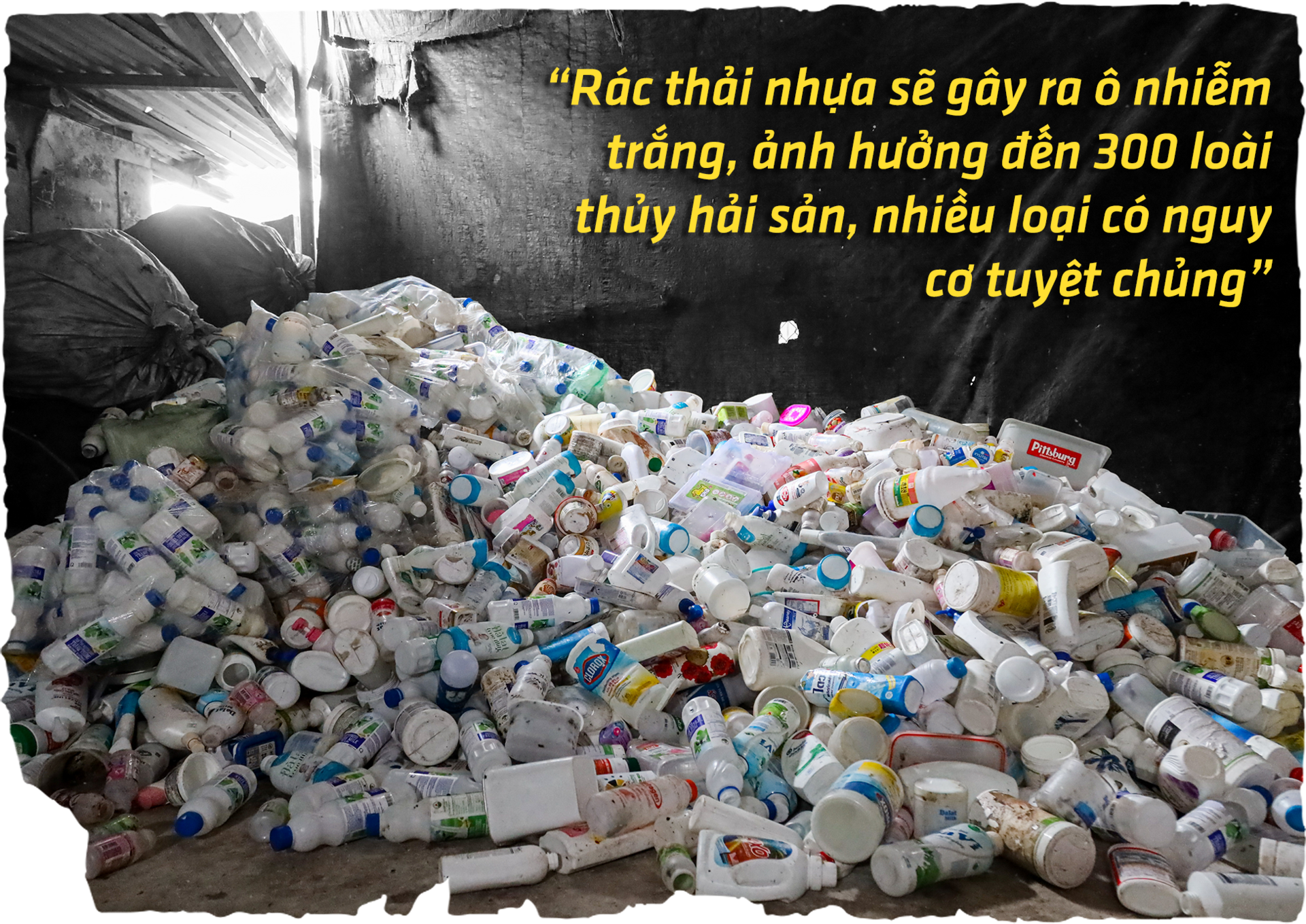 Chai nhựa, túi nylon đang hủy diệt môi trường Việt Nam ra sao? - 6