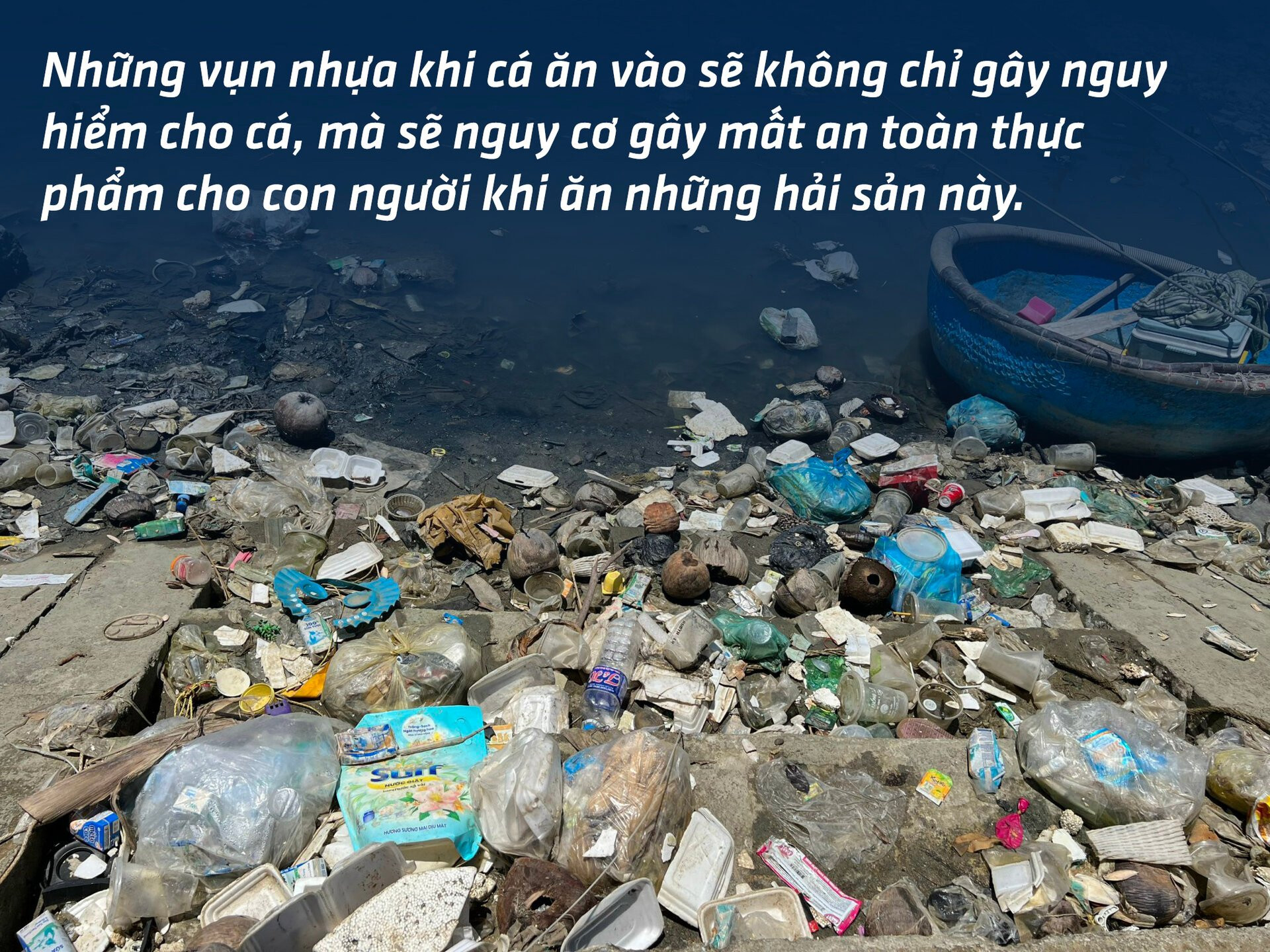 Chai nhựa, túi nylon đang hủy diệt môi trường Việt Nam ra sao? - 8