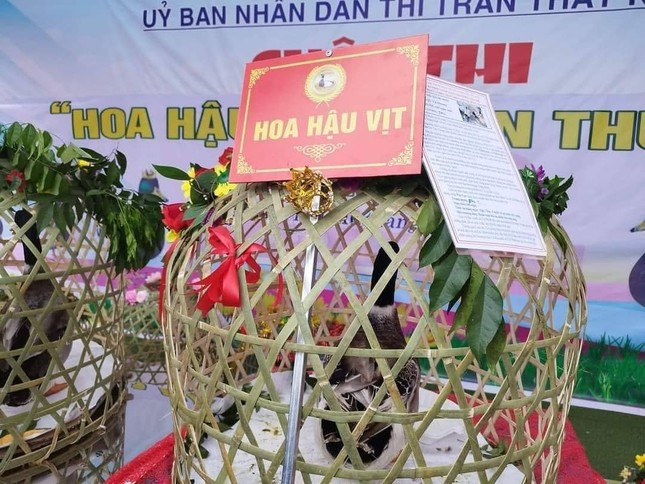 Ban Tổ chức cuộc thi 'Hoa hậu vịt' ở Lạng Sơn lên tiếng sau ồn ào dư luận ảnh 3
