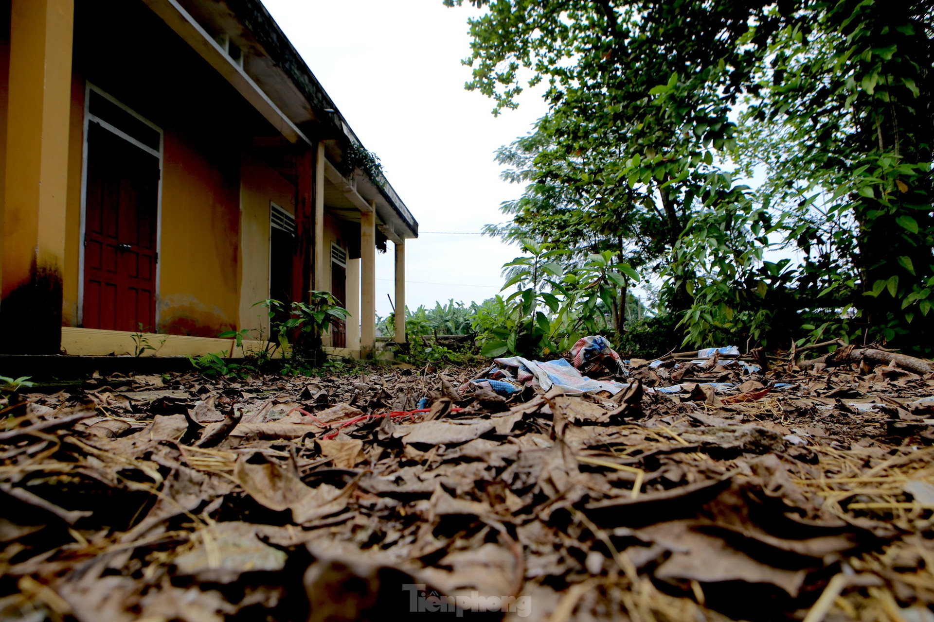 Xót xa nhìn những ngôi trường bỏ hoang ở Hà Tĩnh ảnh 4