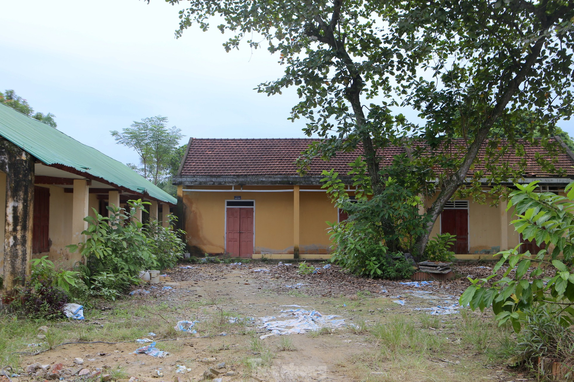 Xót xa nhìn những ngôi trường bỏ hoang ở Hà Tĩnh ảnh 2
