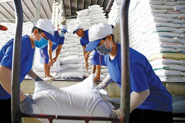 Giá gạo Việt Nam cao nhất 15 năm, bỏ xa Thái Lan ảnh 1