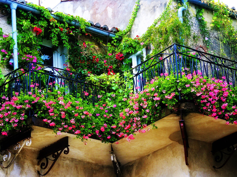 Những ngôi nhà có ban công đầy hoa khiến bạn không thể thôi ngắm nhìn-1