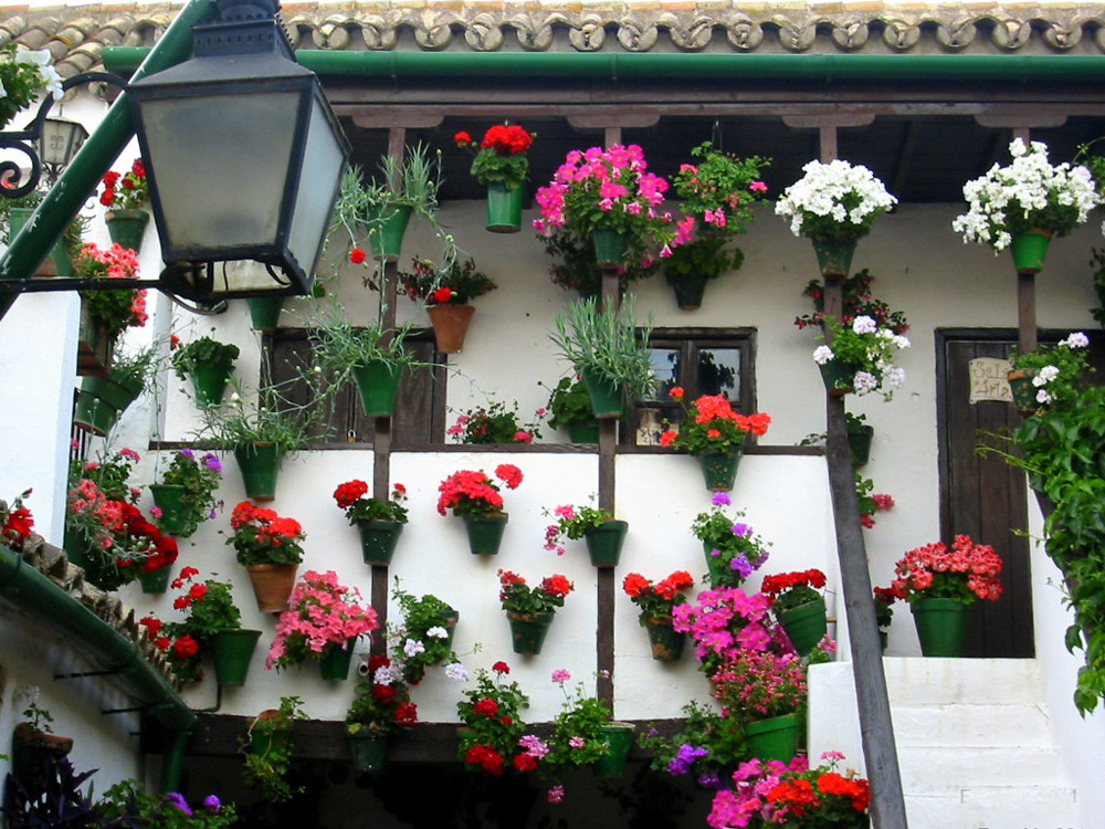 Những ngôi nhà có ban công đầy hoa khiến bạn không thể thôi ngắm nhìn-3