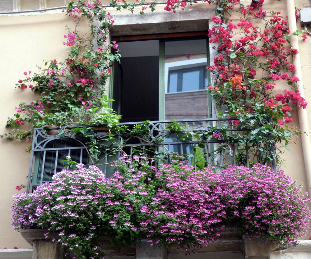 Những ngôi nhà có ban công đầy hoa khiến bạn không thể thôi ngắm nhìn-6