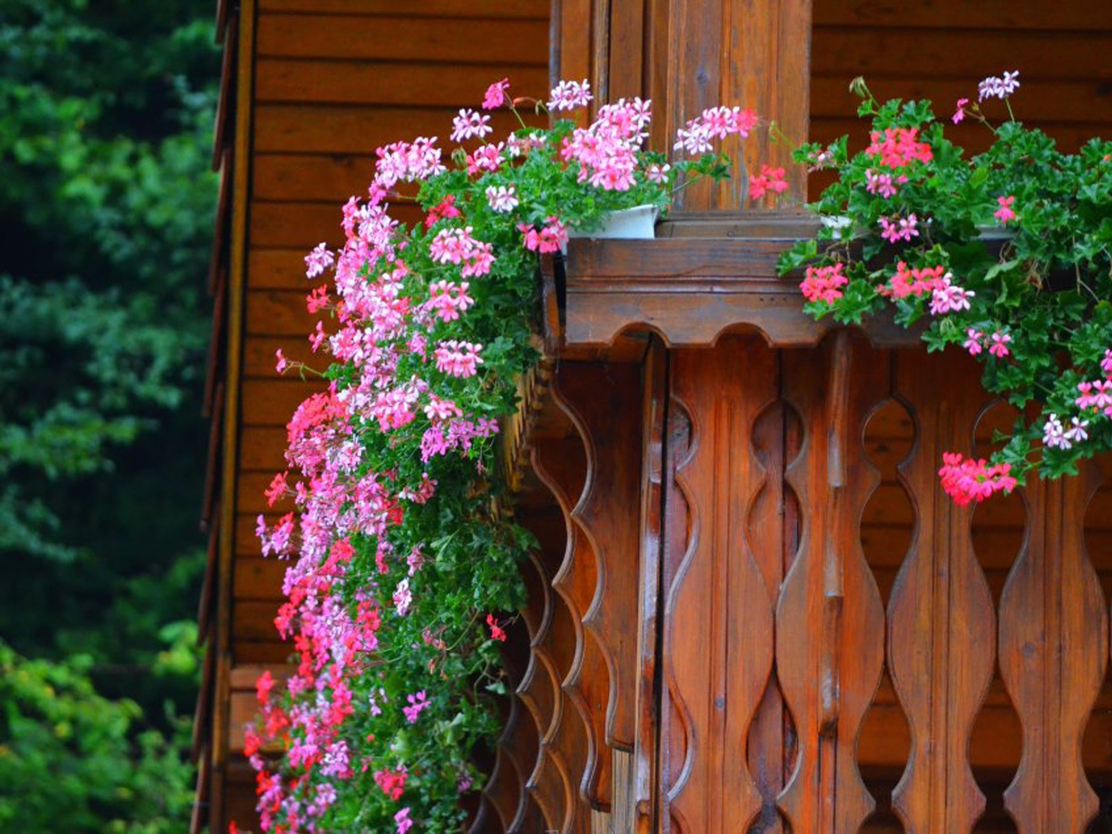 Những ngôi nhà có ban công đầy hoa khiến bạn không thể thôi ngắm nhìn-7