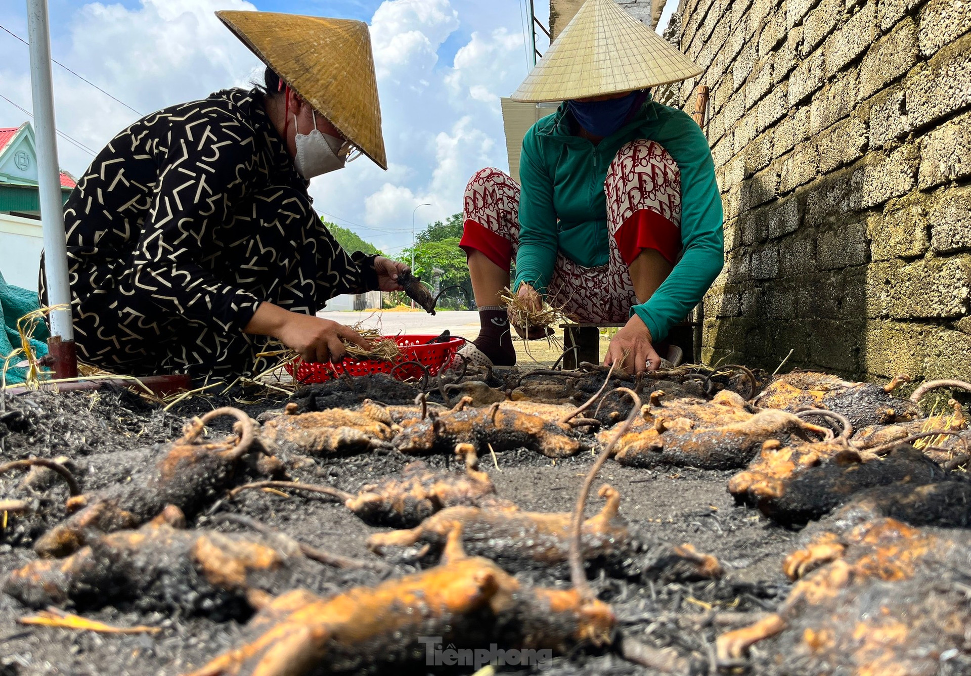 Chợ chuột lớn nhất Nghệ An, mỗi ngày tiêu thụ cả tấn ảnh 11
