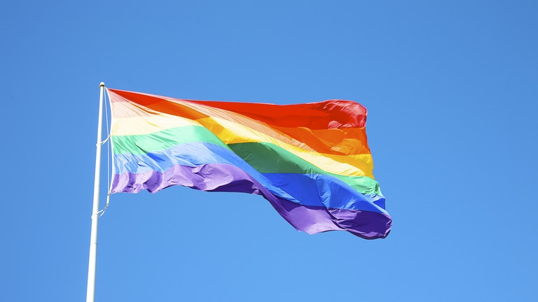Nga cấm phong trào LGBT - 1