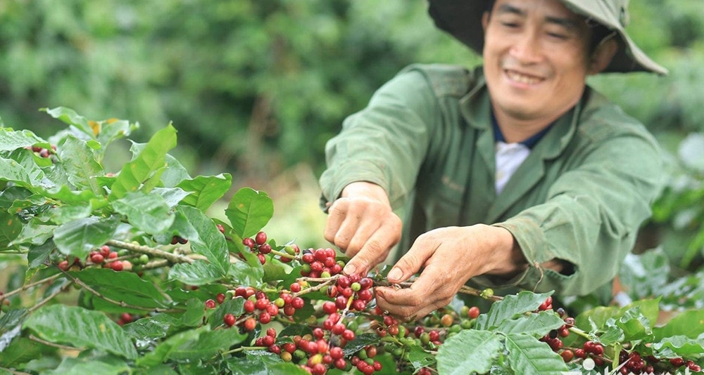 Một năm trúng đậm chưa từng có, hàng chục nghìn 'nông dân thành tỷ phú'