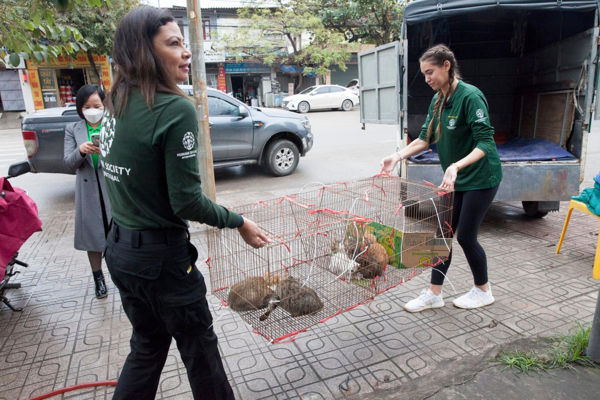 Quán thịt mèo Việt Nam giết 300 con mỗi tháng lên báo nước ngoài - 2