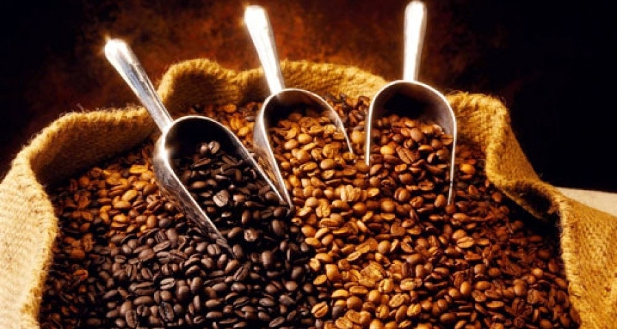 Thế giới phụ thuộc nguồn cung từ Việt Nam, một loại hạt thu tiền nhiều kỷ lục