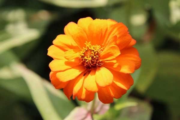 Kiên nhẫn, quyết đoán: người sinh 3 tháng Âm lịch này kinh doanh phát lộc, tương lai giàu có