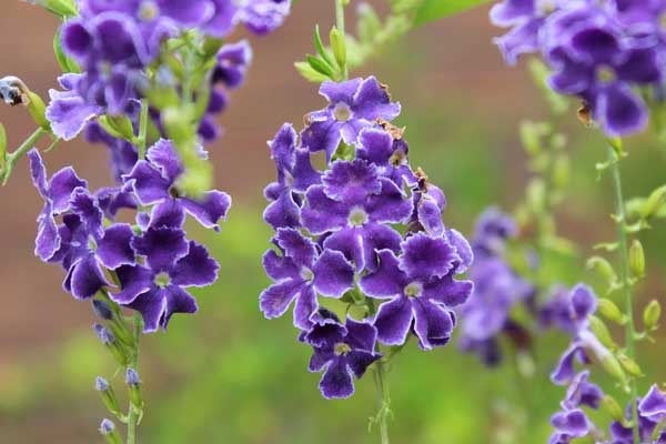 Năm Giáp Thìn, sinh con vào tháng 4 Âm lịch này, trẻ thông minh, khỏe mạnh, lớn lên thành tài