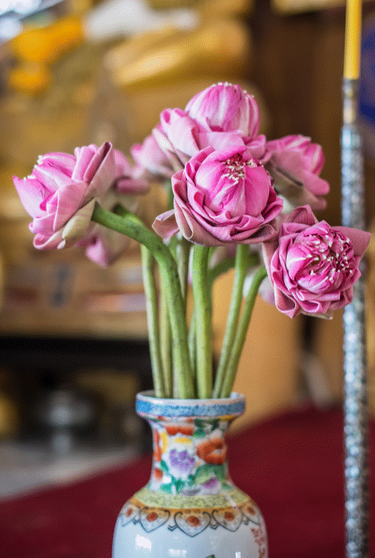 Loại hoa nào nên bày trên bàn thờ ngày Tết giúp thu hút tài lộc? Hoa cắm số chẵn hay số lẻ mới đúng?-1
