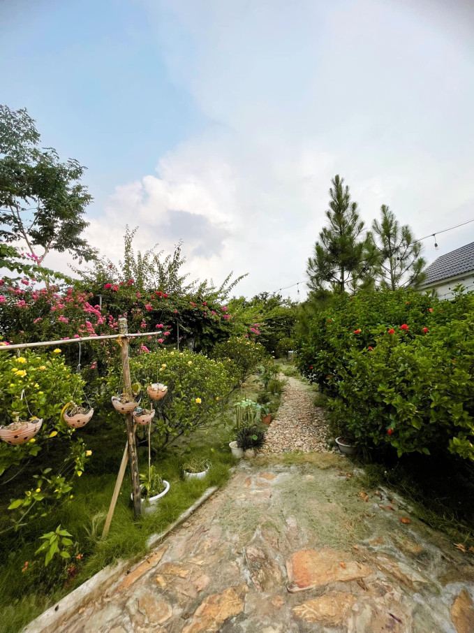 Cơ ngơi đồ sộ của tân Nam Tào: Chung cư tiền tỷ mãn nhãn khi decor Tết, nhà vườn 900m2 tặng ba mẹ phủ đầy cây xanh-12