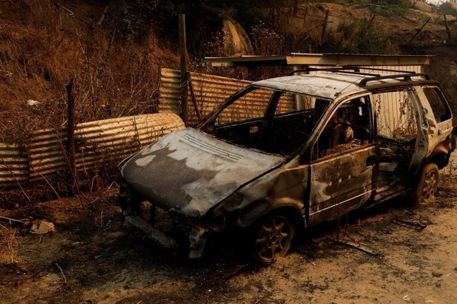 112 người thiệt mạng vì cháy rừng ở Chile ảnh 3