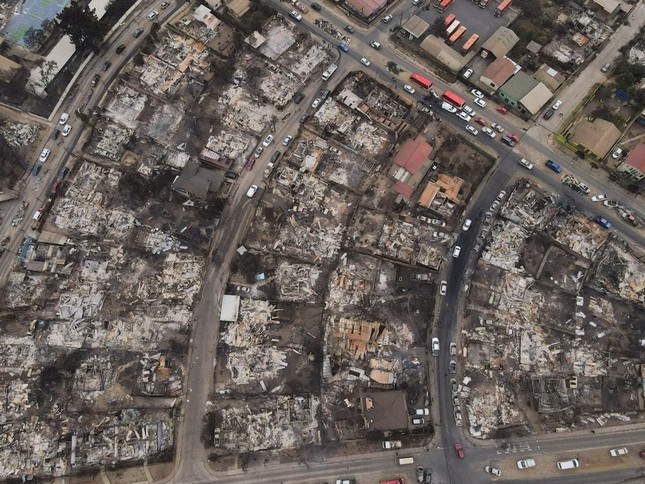 112 người thiệt mạng vì cháy rừng ở Chile ảnh 1