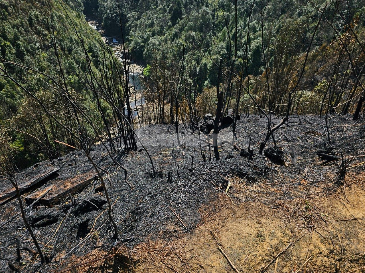 Trèo đèo, vượt suối vào các điểm cháy rừng trong Vườn quốc gia Hoàng Liên ảnh 14
