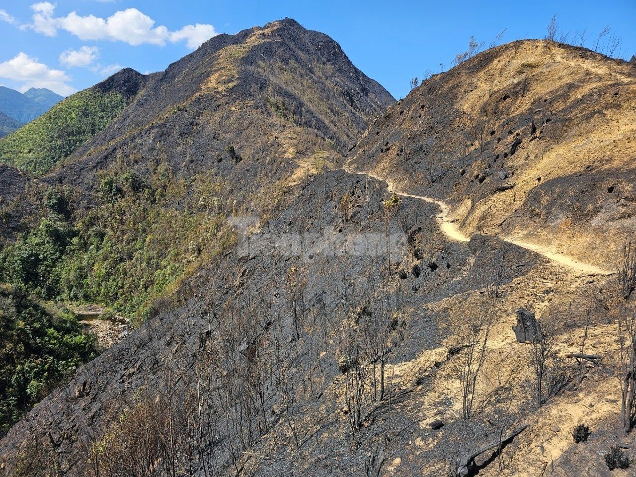 Climbing passes and crossing streams to reach forest fires in Hoang Lien National Park photo 10