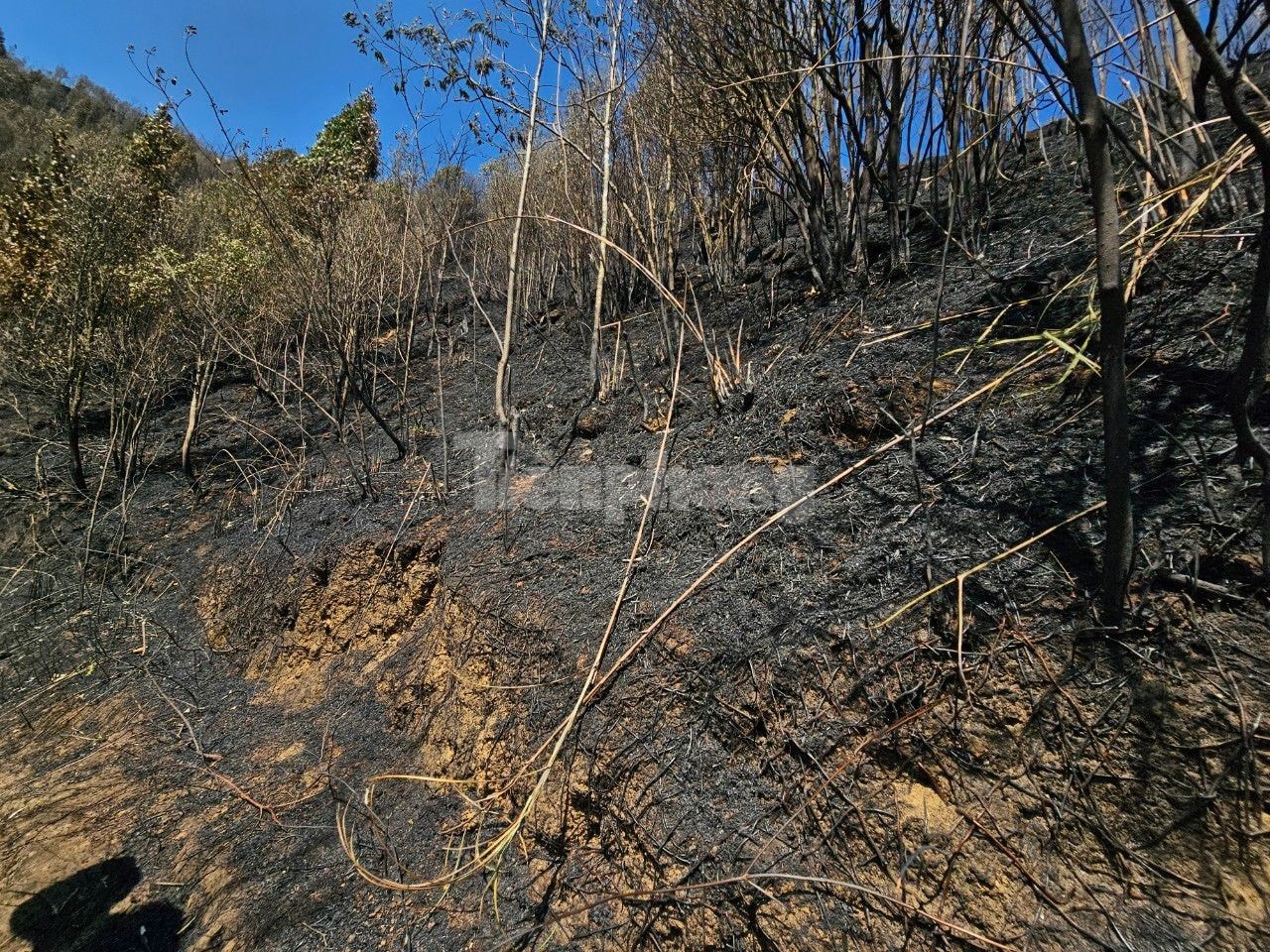 Climbing passes and crossing streams to reach forest fires in Hoang Lien National Park photo 5