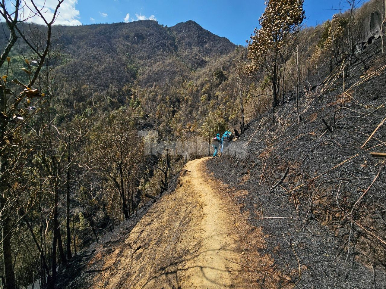 Climbing passes and crossing streams to reach forest fires in Hoang Lien National Park photo 11