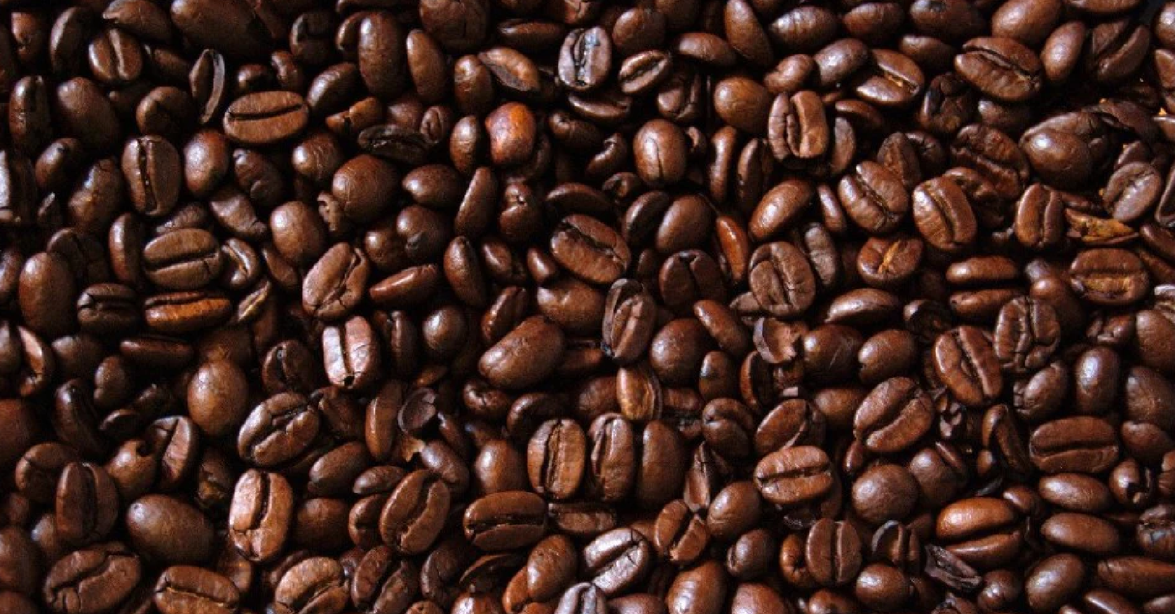 Giá lập đỉnh, một loại hạt của Việt Nam thu hơn 900 triệu USD chỉ sau 45 ngày