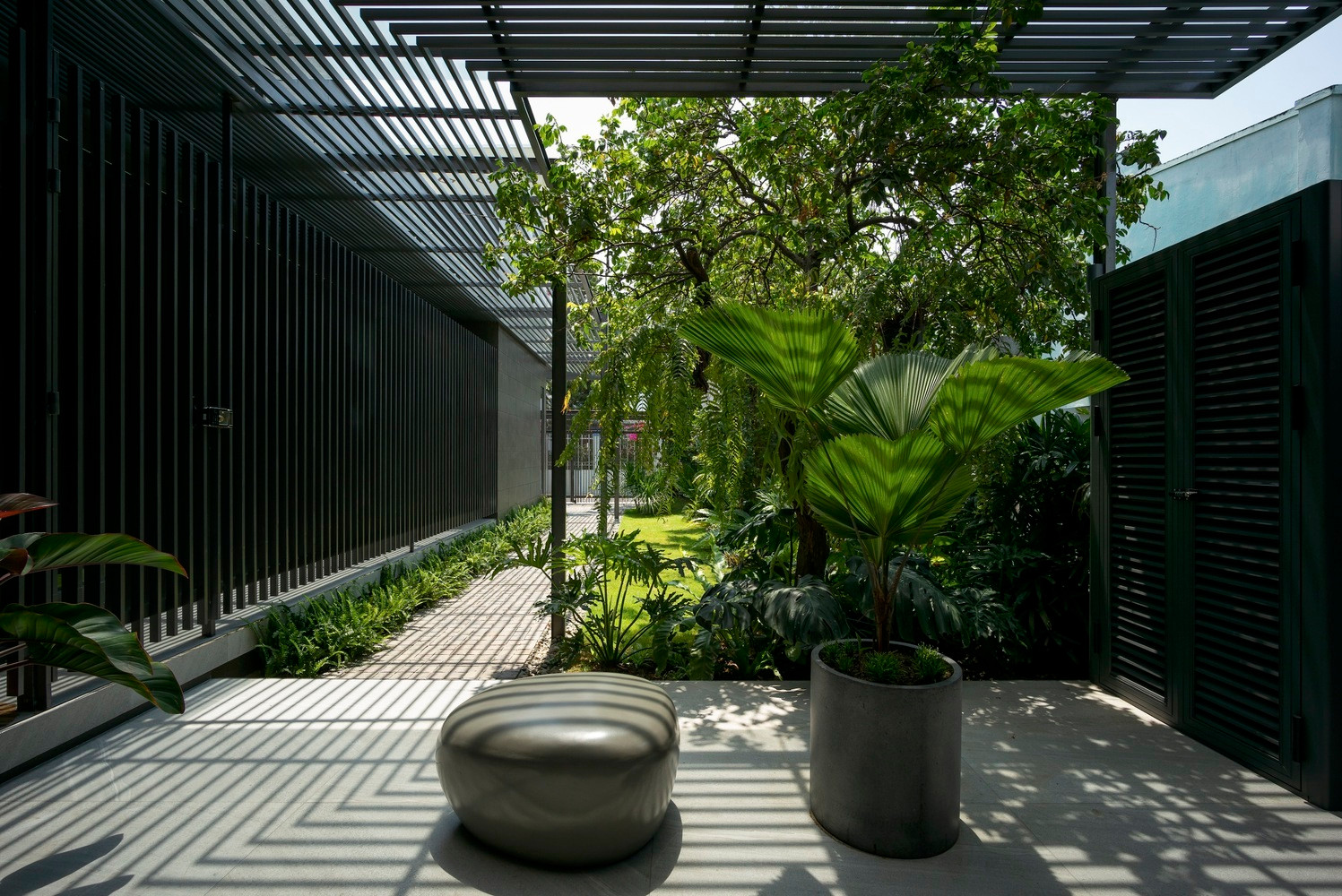 Mở cửa thấy cây, căn nhà vườn nhiệt đới nằm giữa lòng TP Phan Thiết - 8