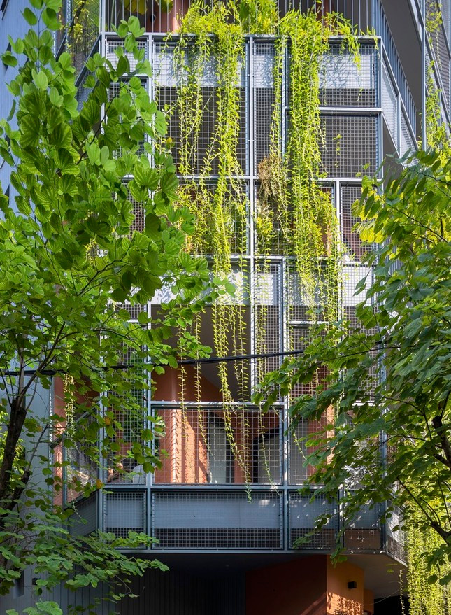 Không gian ngôi nhà được bao trùm bởi những rèm cây xanh ảnh 9