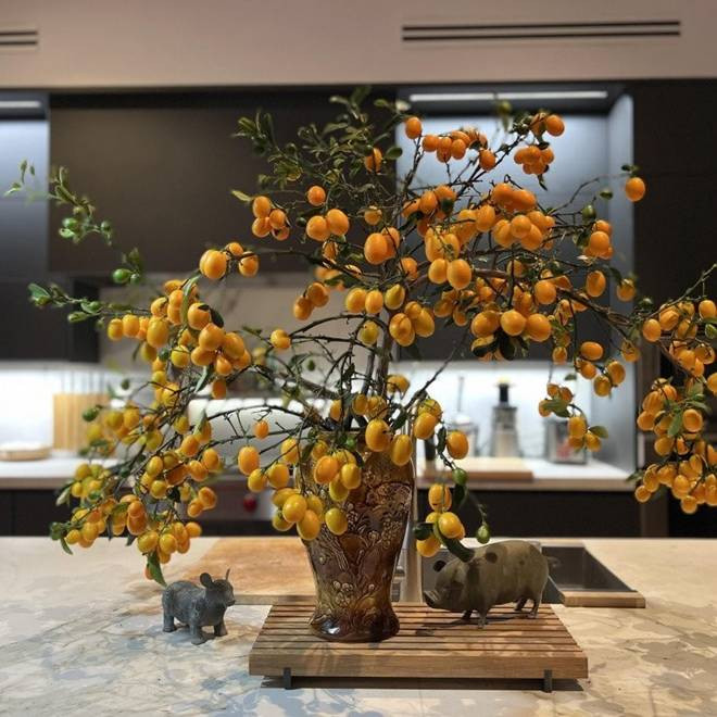 Nhà của Hoa hậu Dương Mỹ Linh ở Mỹ: Vườn đẹp như quán cà phê, trước cửa có loài hoa rực rỡ-23