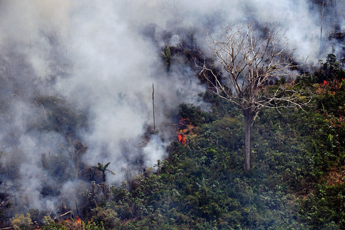 Amazon trong thảm họa cháy rừng năm 2019. (Ảnh: Getty)