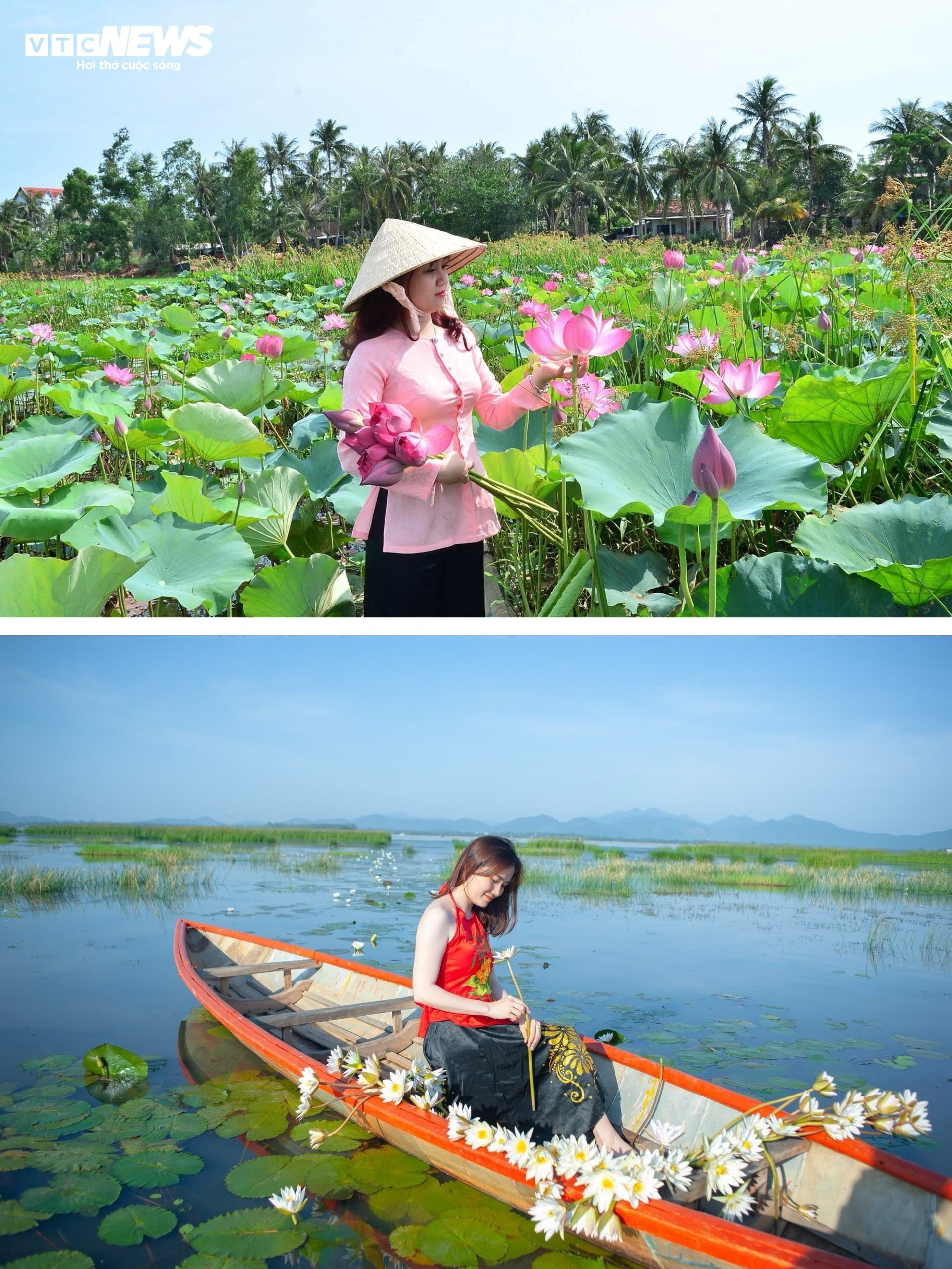 Mặc nắng nóng, du khách mê mải check-in tại đầm sen tự nhiên lớn nhất Bình Định - 6