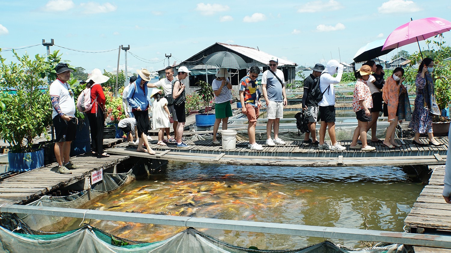 Đông nghẹt người chen chân ở cù lao giữa sông Hậu dịp lễ 30/4 ảnh 13