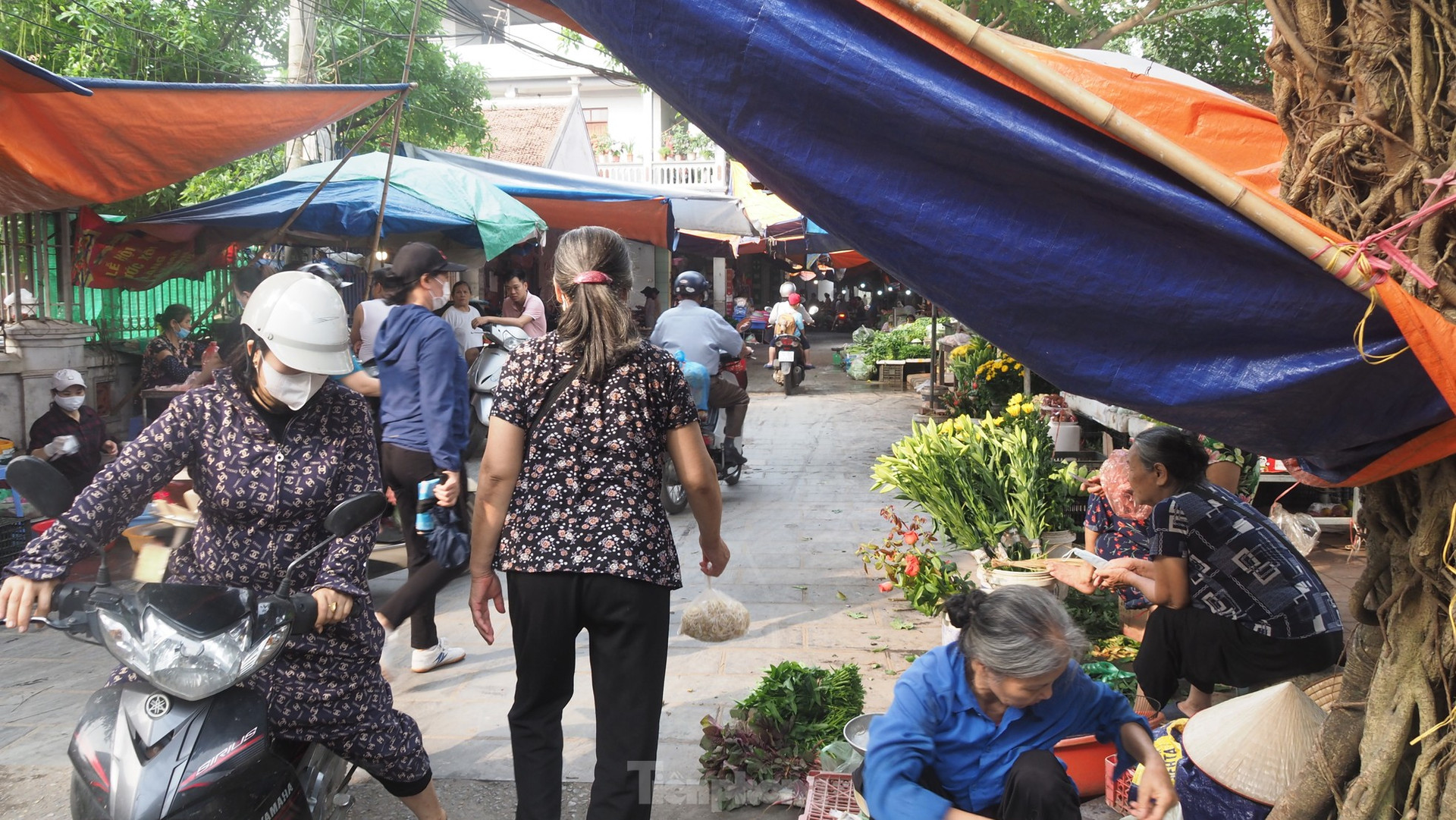 Chợ tiền tỷ Hà Nội xây xong bỏ hoang khiến nhiều người tiếc nuối ảnh 12