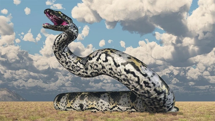 Rắn Titanoboa